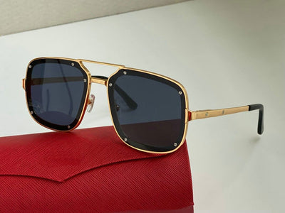 2021 New Luxury Vintage Brand Classic High Quality Square Sunglasses For Men And Women-Unique and Classy